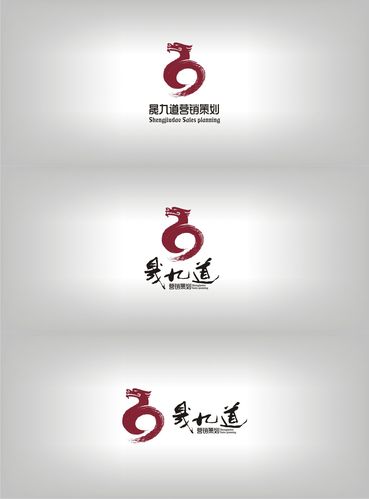 晟九道营销策划视觉标识设计解析 以Logo为锚，重塑企业营销策划的信任美学