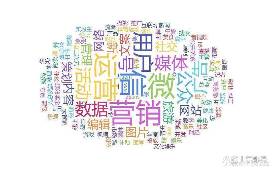 融合与突破 企业新媒体运营与网络营销策划的制胜之道